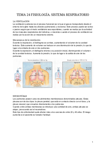 TEMA-24-FISIOLOGIA.pdf