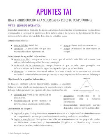 Apuntes-TAI-Tema-1.pdf