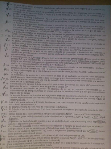 IMG-20130202-WA0002 (1).jpg