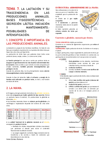 TEMA-7.pdf