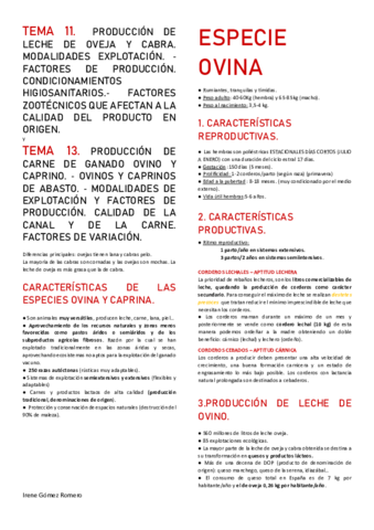 TEMA-11-Y-13.pdf