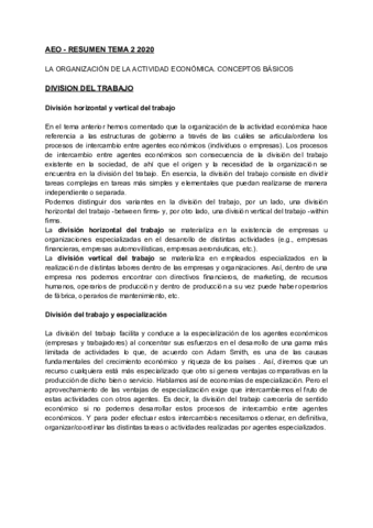 AEO-RESUMEN-TEMA-2.pdf