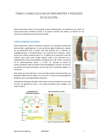 Revision-de-MICRO-I-T.pdf