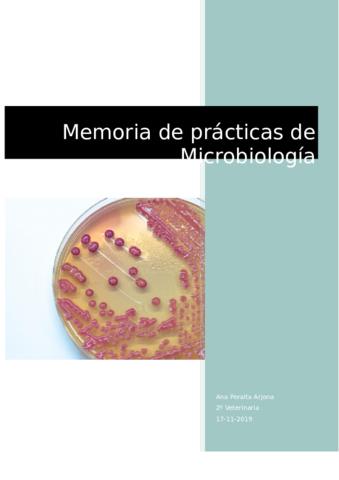 Memoria-de-practicas-de-Micro.pdf