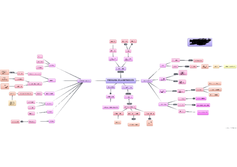 Mapa-Conceptual-Tema-1.pdf