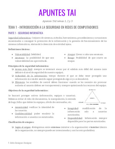Apuntes-TAI-Completos-Tema-1-2-3.pdf