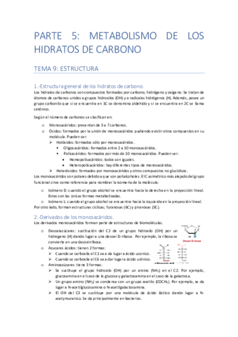 PARTE-5-METABOLISMO-DE-LOS-HIDRATOS-DE-CARBONO.pdf
