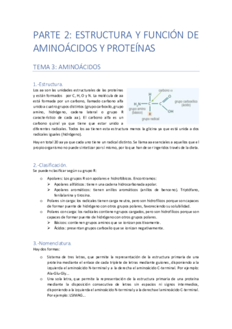 PARTE-2-ESTRUCTURA-Y-FUNCION-DE-AA-Y-PROTEINAS.pdf