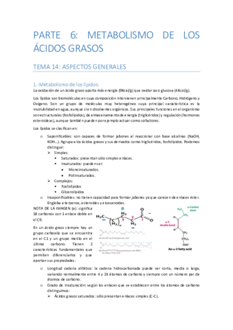 PARTE-6-METABOLISMO-DE-LOS-ACIDOS-GRASOS.pdf
