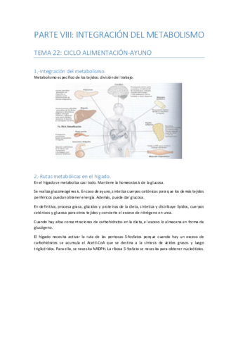 PARTE-8-INTEGRACION-DEL-METABOLISMO.pdf