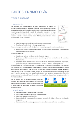 PARTE-3-ENZIMOLOGIA.pdf