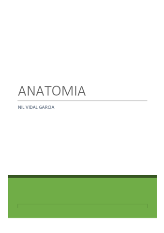 Apunts-finals-anatomia.pdf