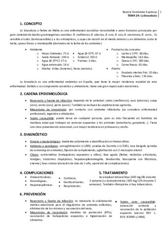 Tema-24Brucelosis.pdf