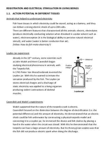 History-part-2-1.pdf