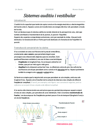 Sistemes-auditiu-i-vestibular.pdf