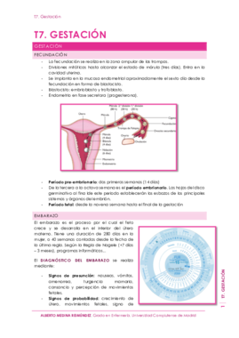 T7. Gestación.pdf