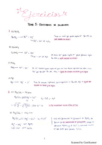 Ejercicios-solubilidad.pdf