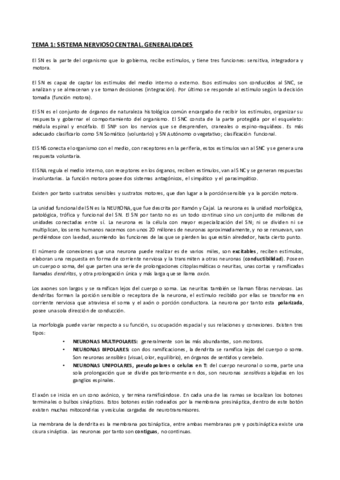 Apuntes teórico.pdf
