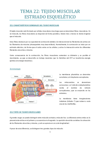 TEMA-22.pdf