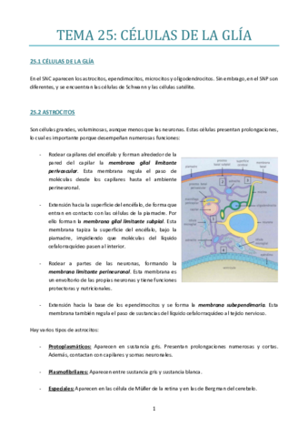 TEMA-25.pdf