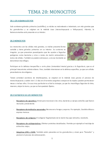 TEMA-20.pdf