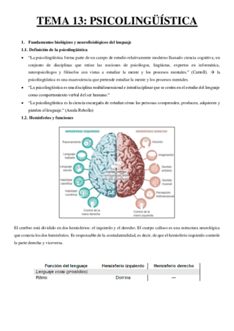 resumen-tema-13.pdf