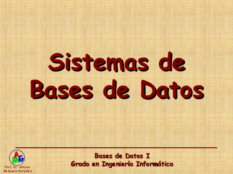 T1-Sistemas-de-Bases-de-Datos.pdf