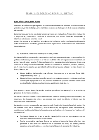 TEMA-2-DERECHO-PENAL.pdf