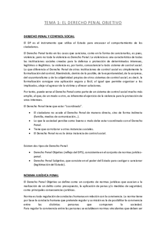 TEMA-1-DERECHO-PENAL.pdf