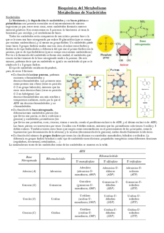 Metabolismo-de-Nucleotidos.pdf