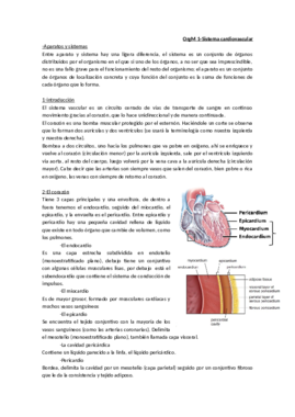 Tema_1-_El_sistema_cardiovascular.pdf