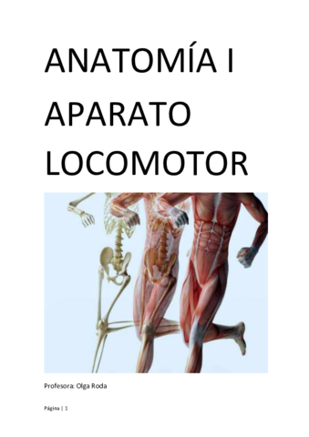 ANATOMIA-I.pdf