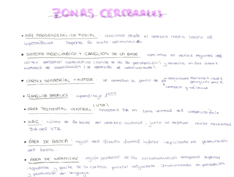 Zonas-Cerebrales-Importantes-Psico.pdf
