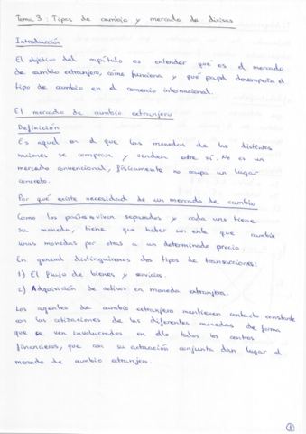 Tema-3-Tipos-de-cambio-y-mercado-de-divisas.pdf