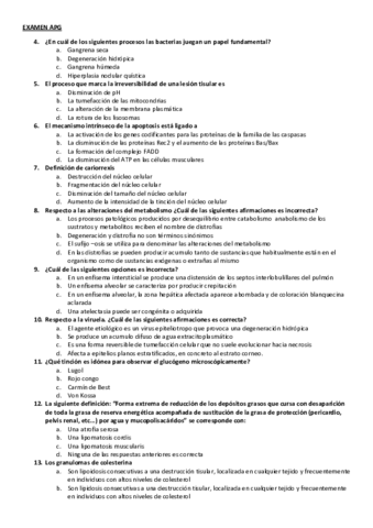 Examen-APG-2.pdf