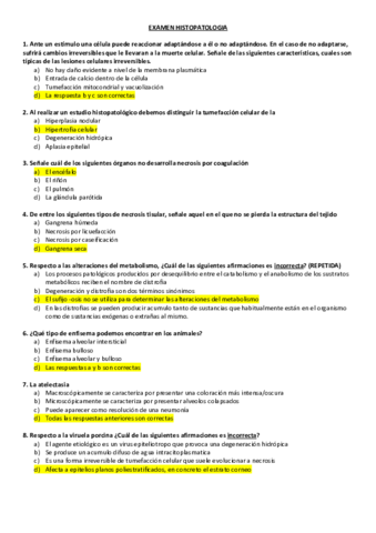 Examen-APG-1.pdf