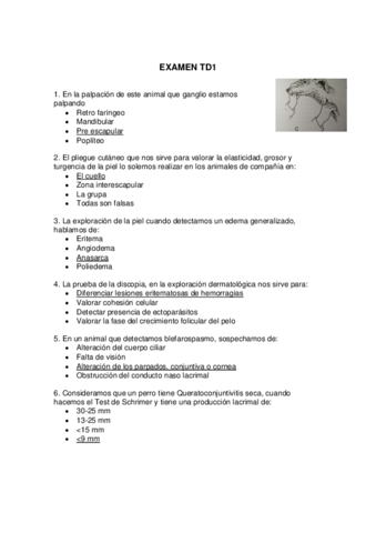 Examen-TDI-1.pdf