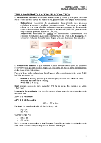 TEMA-1.pdf