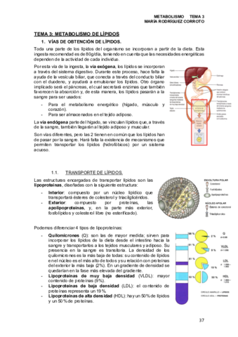 TEMA-3.pdf