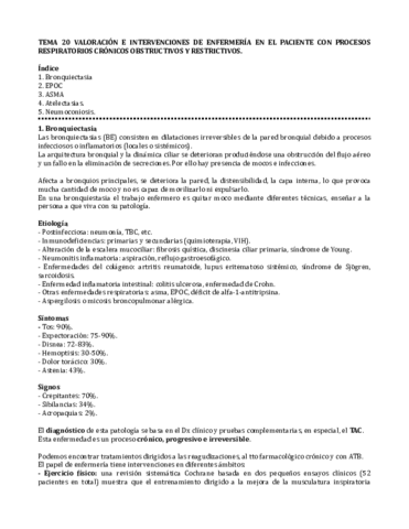 TEMA-20.pdf