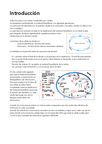 BIOLOGIA-RESUMEN.pdf