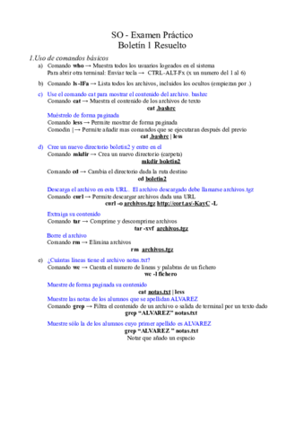 SO-Boletin-Practico-1-Resuelto.pdf