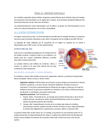 TEMA-14.pdf