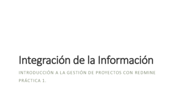 Integración de la Información. Gestion Proyectos. Practica 1. Gestión Proyectos.pdf