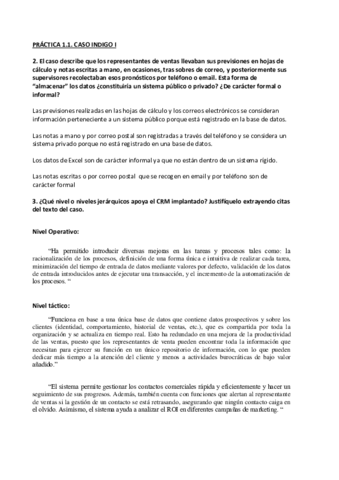 Práctica 1. Caso índigo.pdf