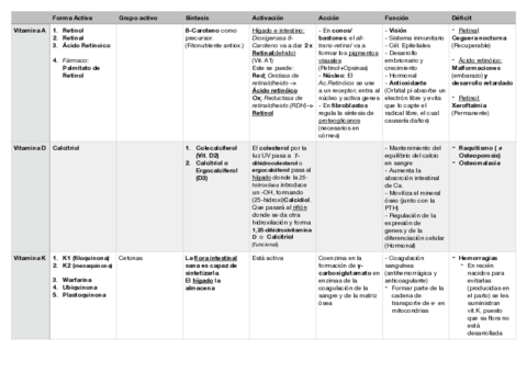 Vitaminas-Tabla.pdf