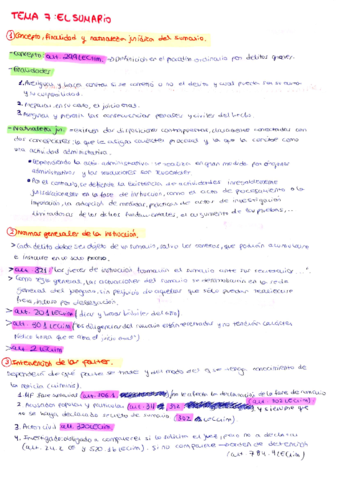 manuscritos-procesal-penal-copia.pdf