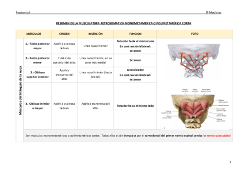 resumen-musculos.pdf