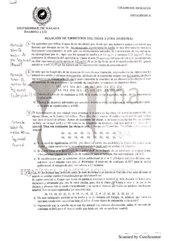 Ejercicios-resueltos-relacion-3-1-muestra.pdf