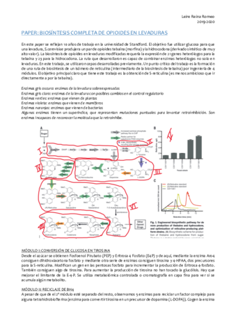Biosintesis-de-opioides-.pdf